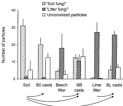 Fig. 2. Discriminant analysis plane of soil, litter and fresh casts ofLumbricus terrestrisBL (soilThe casts originated from B0 (soil only), BB (soil according to the fungal dominance structure.+beech litter) and+lime litter) treatments