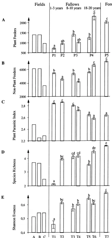 Fig. 3. Characteristics of nematode communities in ﬁelds, fallowsand forest. Each histogram corresponded to one nematologicalindex: (A) abundance of plant feeding nematodes in 250 cm3 soil;(B) abundance of non-plant feeding nematodes in 250 cm3 soil; (C)pl
