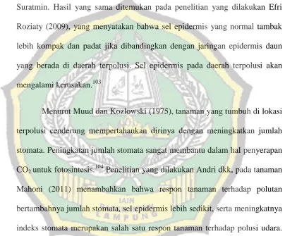 Gambar 2 dan gambar 3 pada hasil pengamatan dapat dilihat sel epidermis 