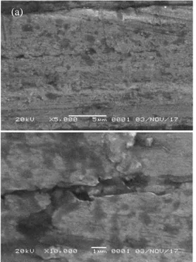 Gambar  1.  menunjukkan  hasil  karakterisasi  dari  elektroda  aluminium  menggunakan  Scanning  Electron  Microscope (SEM)