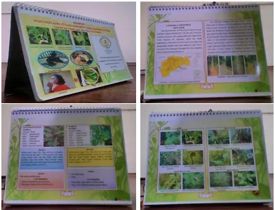 Gambar 2 : Beberapa Contoh Halaman Flipbook Manfaat Berbagai Jenis   Tumbuhan Obat di Desa Penyuguk Kabupaten Melawi   Kalimantan Barat