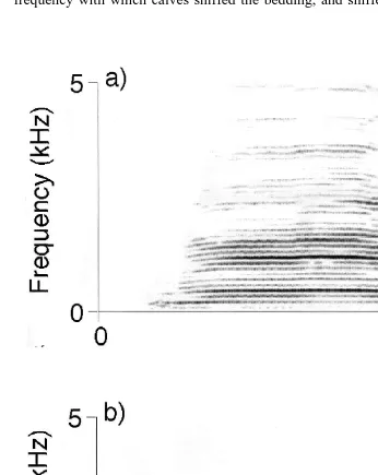 Fig. 1. Frequency spectrograms of calls produced after separation by a the calf, and b the cow.Ž .Ž .