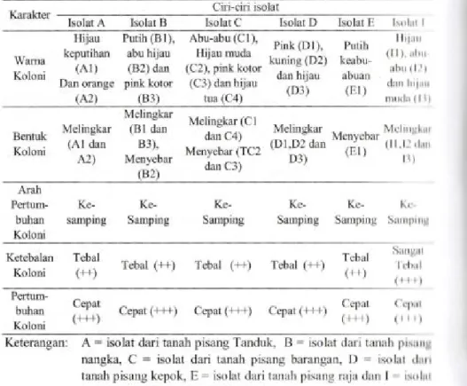 Tabel  l,  Karakter  morfblogi  isolat  jamur  dari  rizosfir  tanaman  pisrrrrl