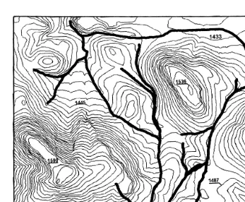 Fig. 2. Topography 6.1 m contour lines and extent of cattle trails heavy dark lines in Pasture 1 on theŽ.Ž.Northern Great Basin Experimental Range near Burns, OR in 1997.