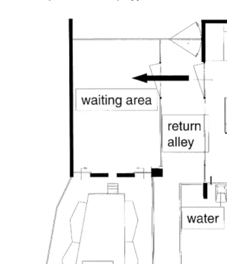 Fig. 1. Layout of compartment of the cubicle house used in the trial.