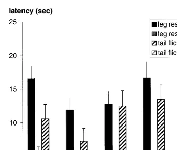 Fig. 2. Mean"standard error of latencies of the leg response and the tail flick at a high 4.5 W and a lowŽ.Ž2.25 W power setting of the laser, when calves were tested six times at each power setting..