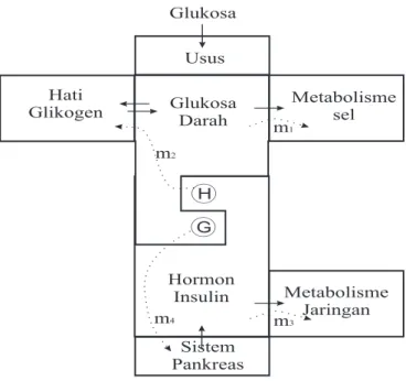 Gambar 2.1: Sistem Regulasi Glukosa Darah-Insulin