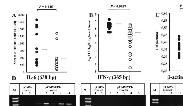 Fig. 2. Characterization of pCMV/VP1-mediated protection, 3 days after the lethal CVB3 challenge