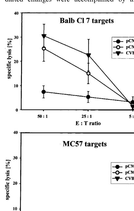Fig. 3. Characterization of the cellular immune response inpCMV/VP1-vaccinated mice. Three days after the lethal CVB3challenge, the CTL activity of spleen cells obtained frompCMV (�) or pCMV/VP1 (�) inoculated mice was character-ized