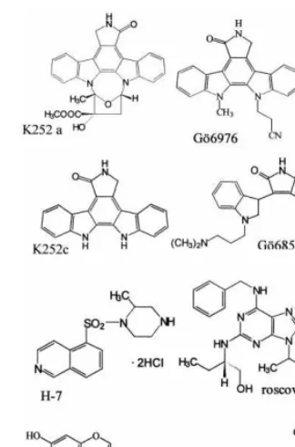 Fig. 1. Structural formulae of protein kinase inhibitors (PKIs).