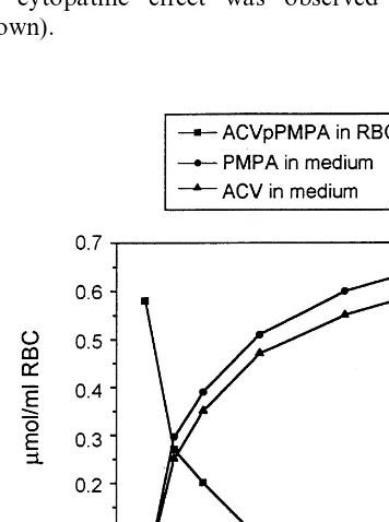 Fig. 3. Metabolism of ACVpPMPA in intact erythrocytes.ACVpPMPA was incapsulated in human erythrocytes by aprocedure of hypotonic dialysis and isotonic resealing to aﬁnal concentration of 0.58 mM