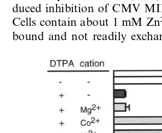 Fig. 3. Effects of various cations on DTPA-induced reductionof zinc concentration. L929 cells were incubated with DTPA5% FCS for 24 h