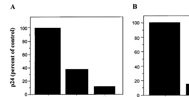 Fig. 2. Anti-HIV activity of CNI-H1194 in histocultures of human tonsils. Human tonsils were obtained from patients undergoingtonsillectomy