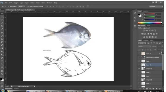 Gambar 14. Proses pembuatan garis ilustrasi ikan 