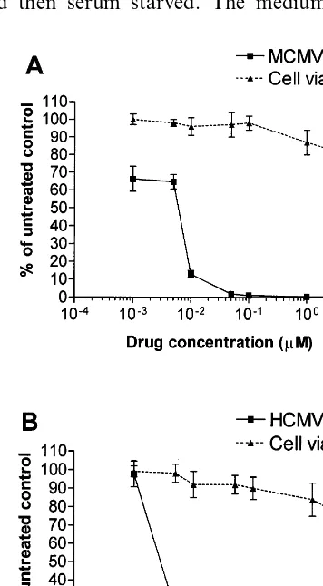 Fig. 1. Inhibitory effect of Tomudex (ZD1694) on murinecytomegalovirus(MCMV)(panelA)andhumancy-tomegalovirus (HCMV) (panel B) replication in quiescent NIH3T3 and PEU cells