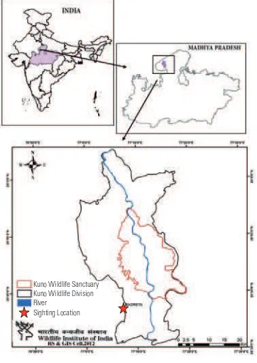 Fig 1. Kuno-Palpur Wildlife Sanctuary in Mad-hya Pradesh, India, with location of observation.