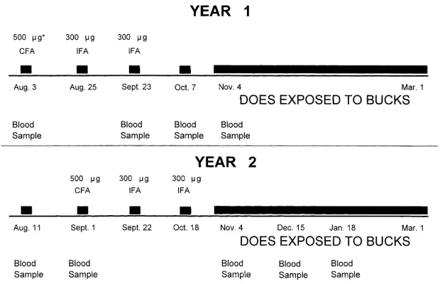 Fig. 1. Schedule of white-tailed deer vaccination, bleeding and breeding. Quantity of antigen per vaccination andtype adjuvant