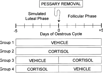 Fig. 1. Experimental protocol. The oestrous cycles of mature Rambouillet sheep were synchronized usingprogestogen-treated vaginal pessaries