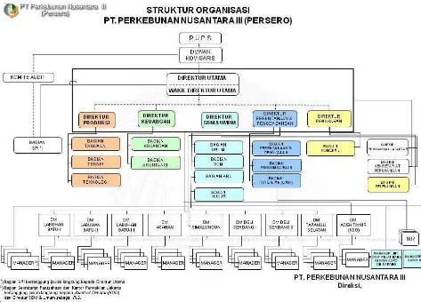 Gambar 4.1 Struktur organisasi perusahaan PTPN III 