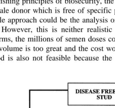 Fig. 1. The epidemiological rule to maintain pathogen-free bull semen for AI Thibier, 1990b .Ž.