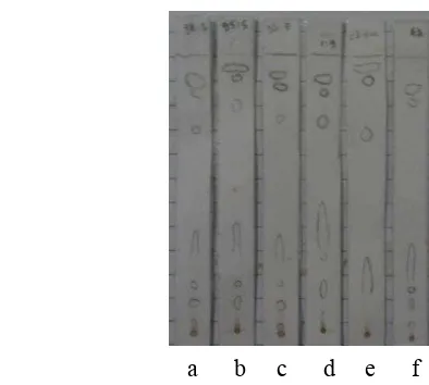 Gambar 2 Kromatogram pemisahan ekstrak dan standar diamati pada UV 254 nm; 