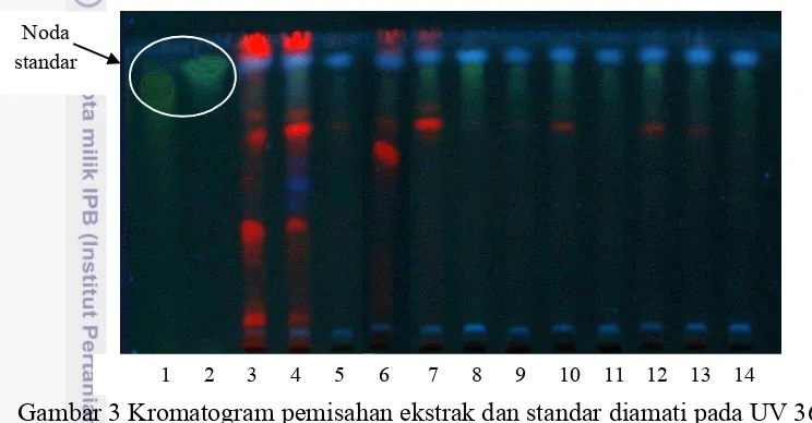 Gambar 3 Kromatogram pemisahan ekstrak dan standar diamati pada UV 366 nm; 