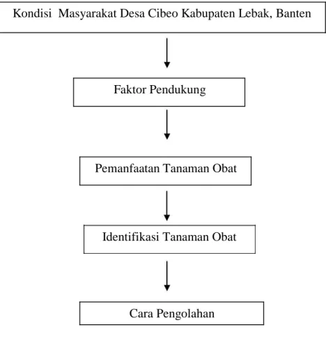 Gambar 1.1 Kerangka Pemikiran 
