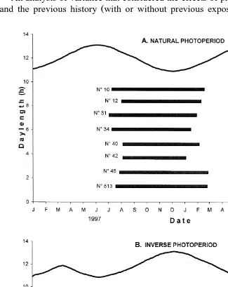 Fig. 1. Individual ovulatory seasons in Pelibuey ewes maintained under natural or inverse photoperiod