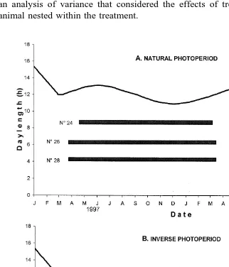Fig. 2. Individual ovulatory seasons in Pelibuey ewes that had been previously exposed to 3 months of longŽphotoperiod on March 21, 1997