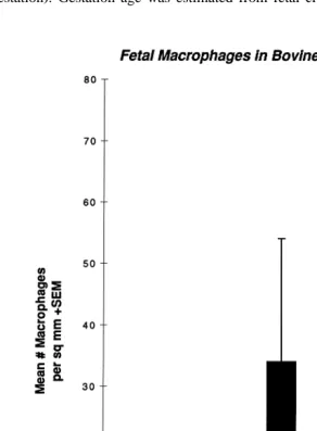 Fig. 10. Change in numbers of fetal macrophages throughout gestation.This graph shows the number of fetal macrophages present in cotyledonary villi at 4, 6 and 8 months ofgestation, in placentas collected at term by cesarean section, and in placentas short
