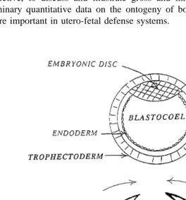 Fig. 1. Essential steps in early placental development.The outer layer of the expanded blastocyst, the trophectoderm, is composed of trophoblast cells