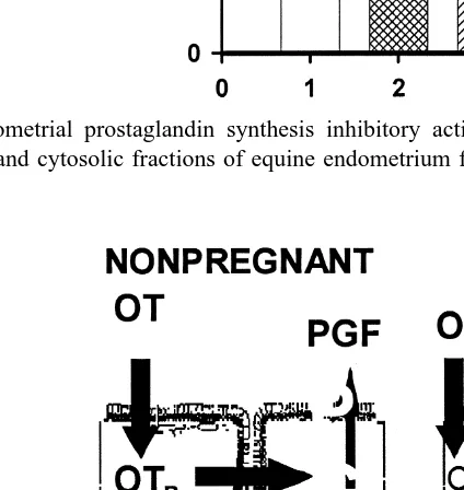Fig. 3. Endometrial prostaglandin synthesis inhibitory activityŽexpressed as arbitrary inhibitory units.inmicrosomal and cytosolic fractions of equine endometrium from day 16 pregnant and nonpregnant mares.