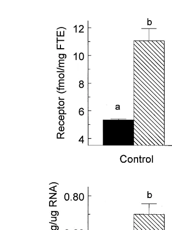 Fig. 2. Effect of cortisol andror oestradiol on steady state concentrations of GnRH receptor and GnRHreceptor mRNA in pituitary tissue of orchidectomized sheepŽwethers 