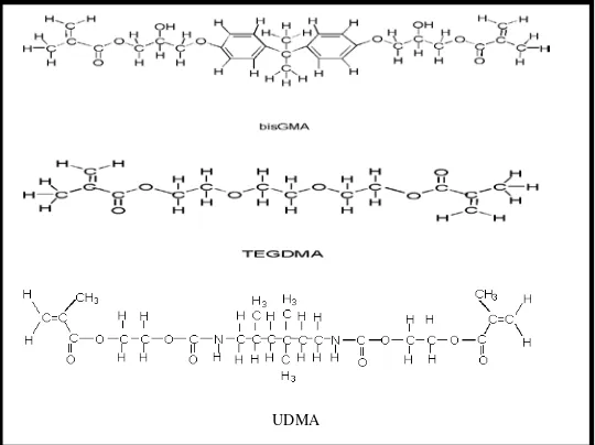 Gambar 1. Ikatan matriks resin Bis-GMA, TEGDMA, dan UDMA3