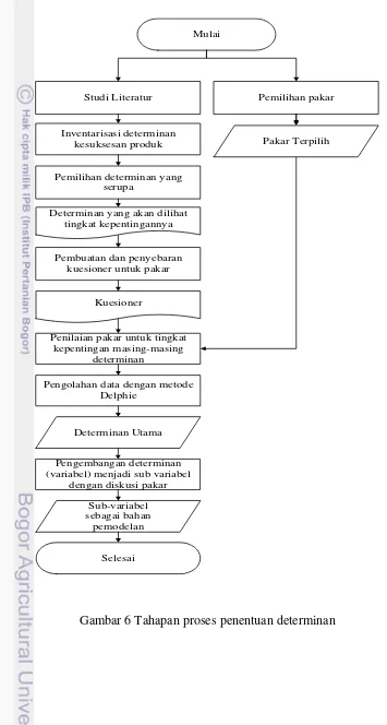 Gambar 6 Tahapan proses penentuan determinan 