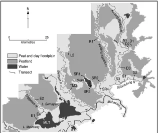 Figure 2. The Kutai peatland study site showing the 18 line transects.