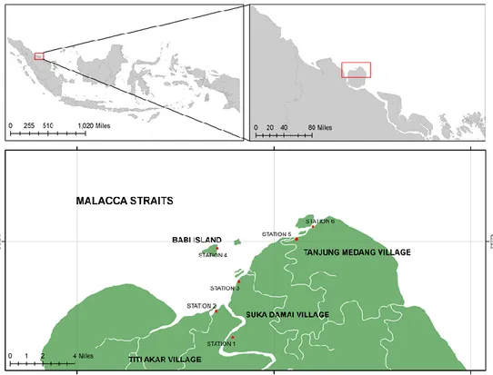 Gambar 1. Peta lokasi penelitian di KKPD Rupat Utara 
