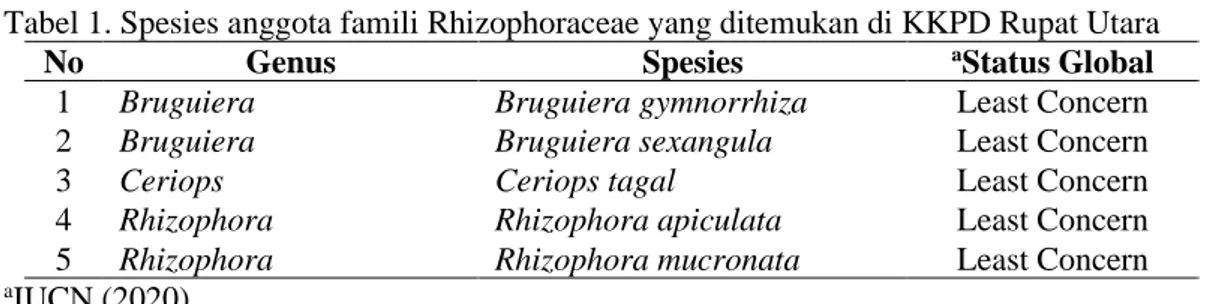 Tabel 1. Spesies anggota famili Rhizophoraceae yang ditemukan di KKPD Rupat Utara 