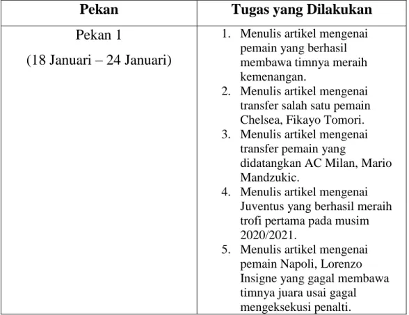 Tabel 3.1 Rincian tugas per pekan 