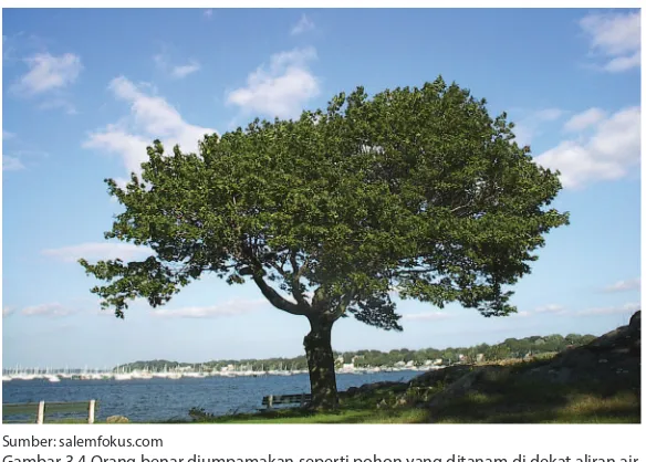 Gambar 3.4 Orang benar diumpamakan seperti pohon yang ditanam di dekat aliran air 