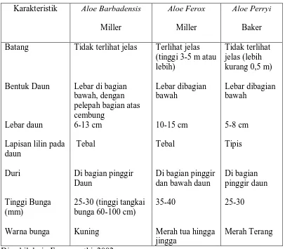 Tabel 1. Karakteristik tanaman lidah buaya komersial 