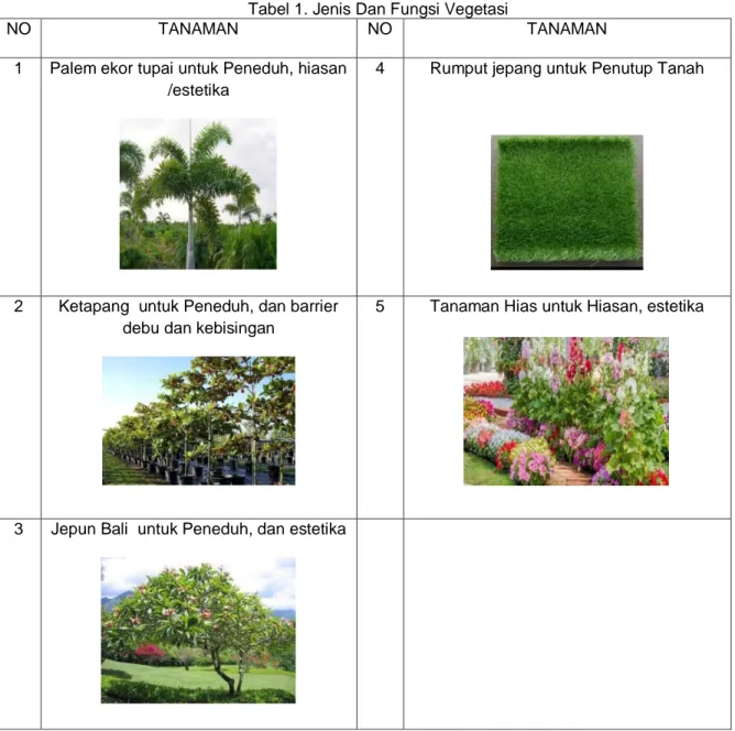 Tabel 1. Jenis Dan Fungsi Vegetasi 