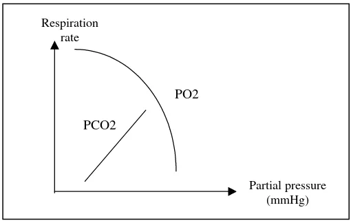 Gambar 6.2. Pengaruh konsentrasi CO2 – O2 terhadap kecepatan respirasi 