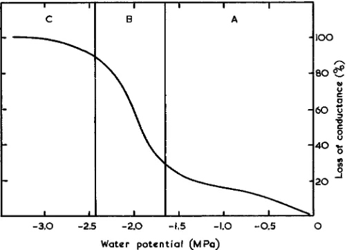Fig. 1.‘‘Vulnerability curve’’ for loss of hydraulic conductance of a plantstem at different levels of drying stress, measured as water potential