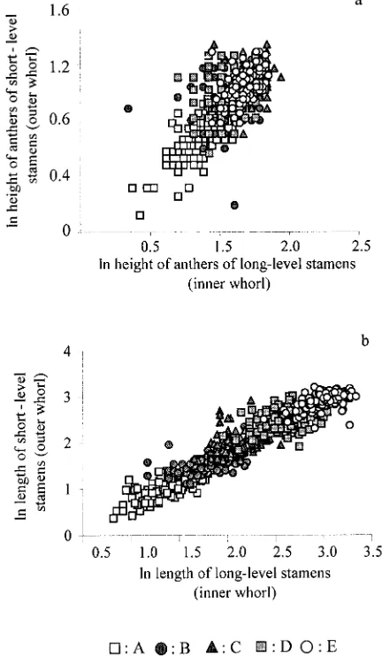 Fig. 2.(a) Height of anthers of the long-level stamens as a function of0.650,0.4371height of anthers of the short-level stamens for each phenological stage (A:rN0.7666, non signiﬁcant; E:��signiﬁcant) and (b) length of long-level ﬁlament as a function of length ofshort-level ﬁlament for each phenological stage (A:0.001; D:2 0.9082 �  � 0.3867, 0.7982� 0.6319, N � 200, y �x 0.0883, P � 0.001; B: r2 � 0.1012, 187, y � 0.3773x � 0.5638, P � 0.05; C: r2 � 0.1332, N � 199, y �x � 0.5353, P � 0.001; D: r2 � 0.0171, N � 196, y � 0.1649x � r2 � 0.0214, N � 194, y � 0.1756x � 0.214, non r2 � 0.6122, N � 200, yx � 0.0711, P � 0.001; B: r2 � 0.2779, N � 189, y � 0.5079x � P � 0.001; C: r2 � 0.1854, N � 199, y � 0.536x � 0.8092, P � r2 � 0.2080, N � 194, y � 0.4802x � 1.2314, P � 0.001; E: r2 N � 191, y � 0.644x � 0.9567, P � 0.001).