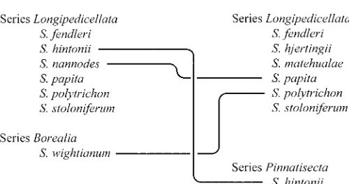 Fig. 1.Comparison of species boundaries and afﬁliations of species toHawkes (1990). Lines connect only points of disagreement between treat-series of Solanum series Longipedicellata according to Correll (1962) andments.