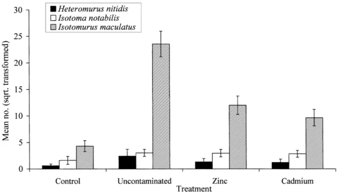 Fig. 7. Effect of sludge treatment on the abundance of Isotomurus palustris, Isotoma/Isotomurus juveniles and Ceratophysella denticulatacaught by pitfall trapping (showing mean number square-root transformed)