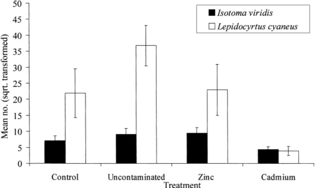Fig. 2. Effect of sludge treatment on the abundance of Isotoma viridis and Lepidocyrtus cyaneus caught by suction sampling (showingmean number square-root transformed)