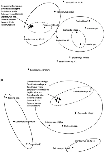 Fig. 6. Species groupings found by Multi-Dimensional Scaling upon the species similarity matrix