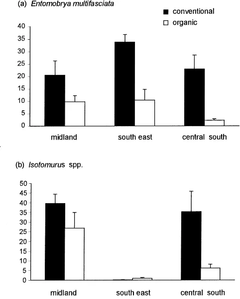 Fig. 1. Differences in the abundance of (a) E. multifasciata and (b) Isotomurus spp. between ﬁelds farmed organically and conventionallyin three areas